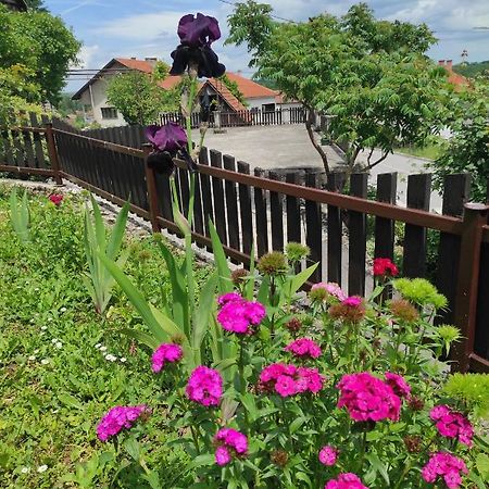 Apartman Domi スルニュ エクステリア 写真